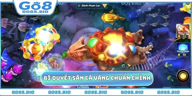 Bí quyết săn cá vàng chuẩn chỉnh
