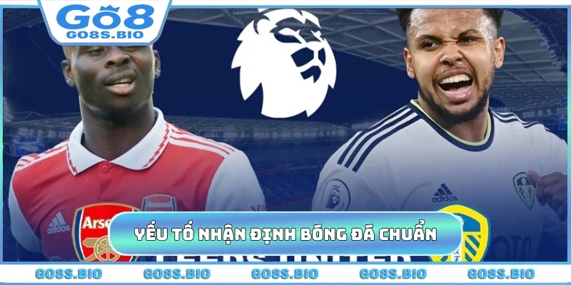 Yếu tố nhận định bóng đá chuẩn