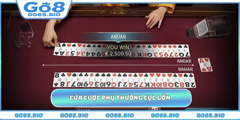 Cửa cược phụ thưởng cực lớn