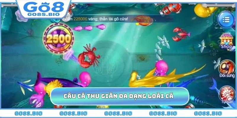 Câu Cá Thư Giãn đa dạng loài cá